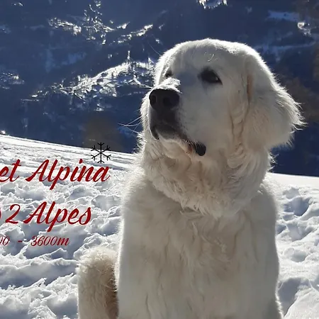 Alpina Chalet *
